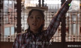 娱乐圈吃瓜匠,揭秘明星背后的秘密与八卦